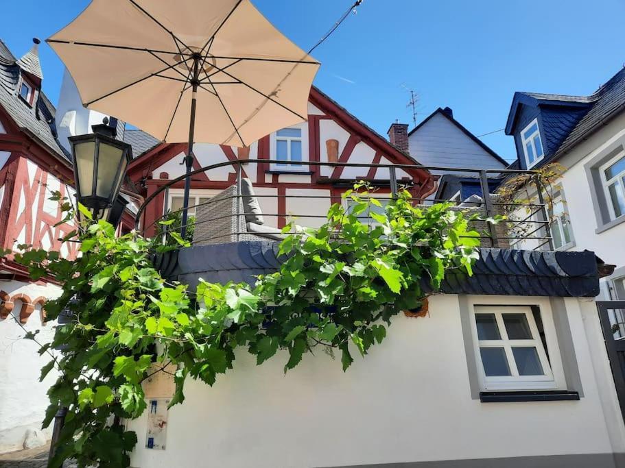 Modernes Tiny House Mit Sonnenterrasse Apartment Ediger-Eller Exterior photo